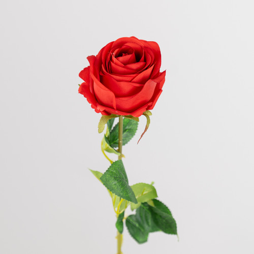 62cm Red Rose Stem (1)