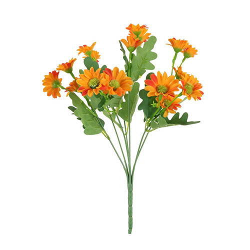 orange daisy for floral decoration