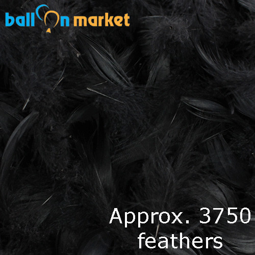 Premium Black Feathers (Approx. 3750)