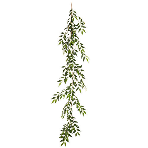 Ruscus garland for decor