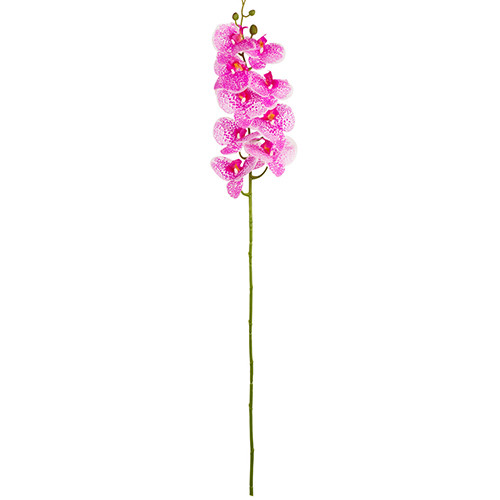realistic looking Hot Pink Phalaenopsis Orchid