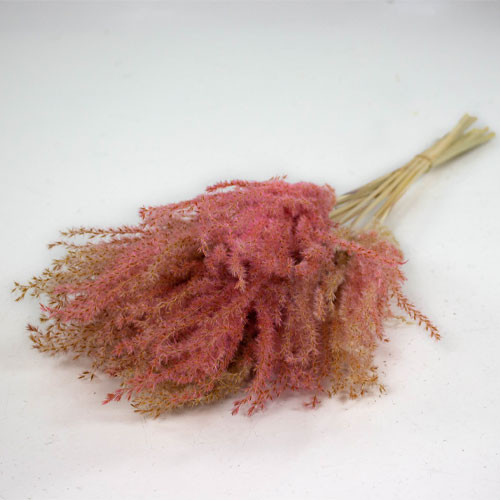 A bunch of pink and natural coloured dried fluffy reed grass.