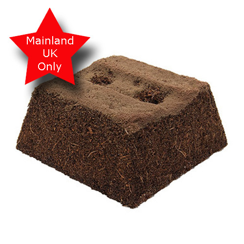An individual Oasis TerraBrick, perfect for floristry!