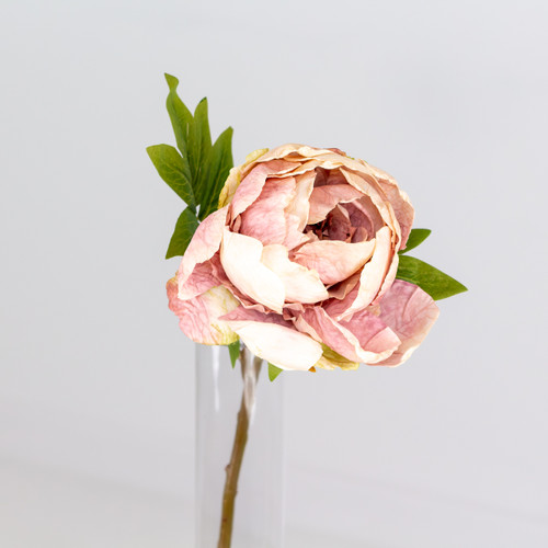 A Dried Touch Nude Closed Peony Pick, measuring approx. 48cm! A Dried Touch Nude Closed Peony Pick, measuring approx. 48cm!