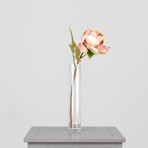 A Dried Touch Nude Closed Peony Pick, measuring approx. 48cm!