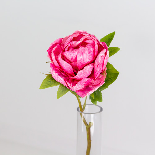 A Dried Touch Hot Pink Closed Peony Pick, measuring approx. 48cm!