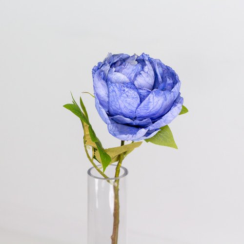 A Dried Touch Blue Closed Peony Pick, measuring approx. 48cm! A Dried Touch Blue Closed Peony Pick, measuring approx. 48cm!