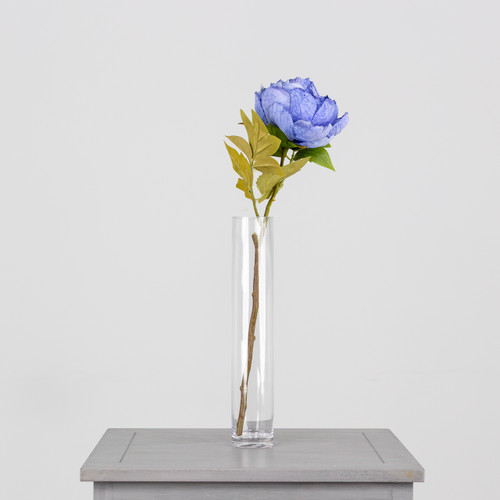 A Dried Touch Blue Closed Peony Pick, measuring approx. 48cm!