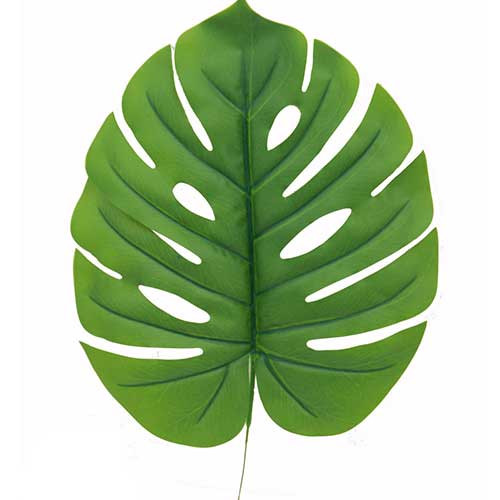 48cm Green Tarovine Leaf