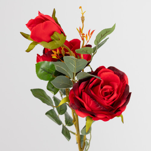 81cm Red Charlotte Rose Spray - 3 Heads