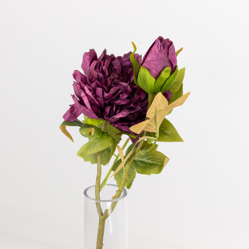 52cm Dried Touch Aubergine Open Peony Stem
