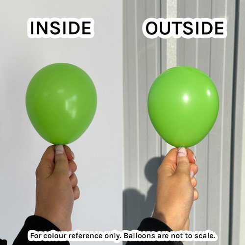 260 Fashion Lime Green Sempertex Nozzle Up Entertainer Balloons (50)