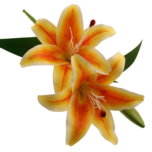 39cm Orange Stargazer Lily Pick