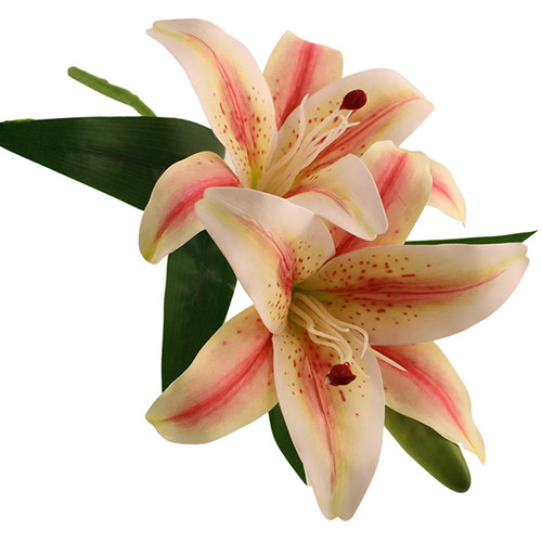 39cm Cream & Pink Stargazer Lily Pick