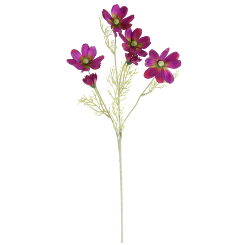 A Magenta Cosmos Daisy Spray, measuring approx. 60cm!