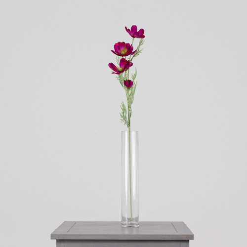 A Magenta Cosmos Daisy Spray, measuring approx. 60cm!