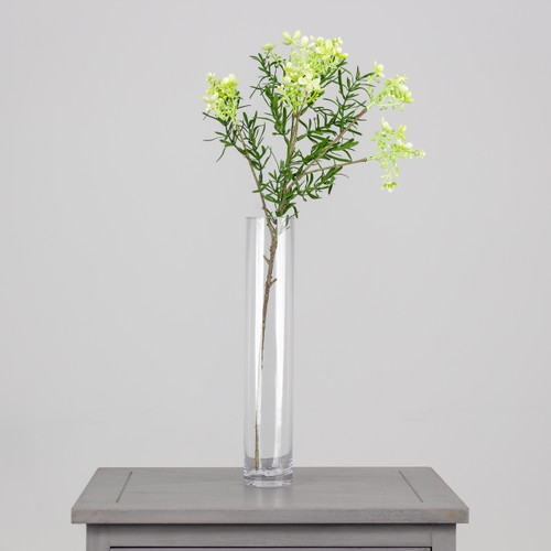 An artificial white Broom bloom.