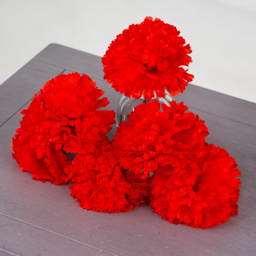 A red coloured carnation head A red coloured carnation head