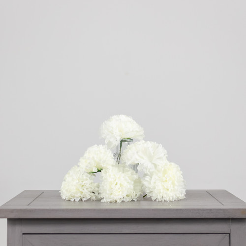 An ivory coloured carnation head