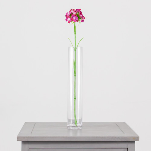 A Purple Sweet William Flower, measuring approx. 43cm!