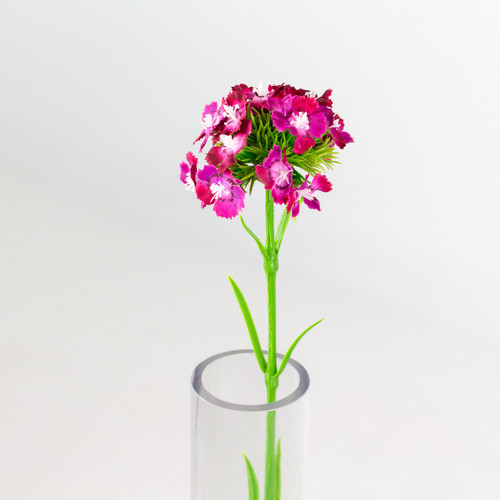 A Purple Sweet William Flower, measuring approx. 43cm! A Purple Sweet William Flower, measuring approx. 43cm!