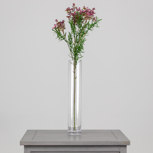 An artificial dark red Broom Bloom