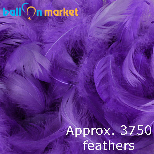 Premium Purple Feathers (Approx. 3750)