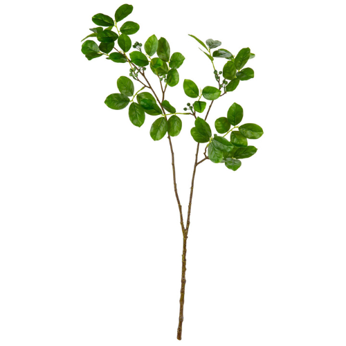 A Green Myrtle Leaf Spray