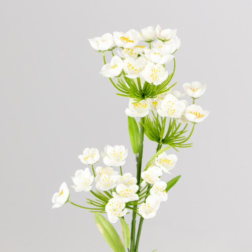 A 74cm Cream Fairybell Allium spray. A 74cm Cream Fairybell Allium spray.