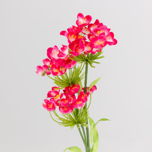 A 74cm Hot Pink Fairybell Allium spray. A 74cm Hot Pink Fairybell Allium spray.