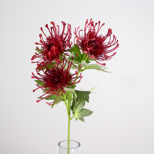 A 65cm Red Protea spray. A 65cm Red Protea spray.