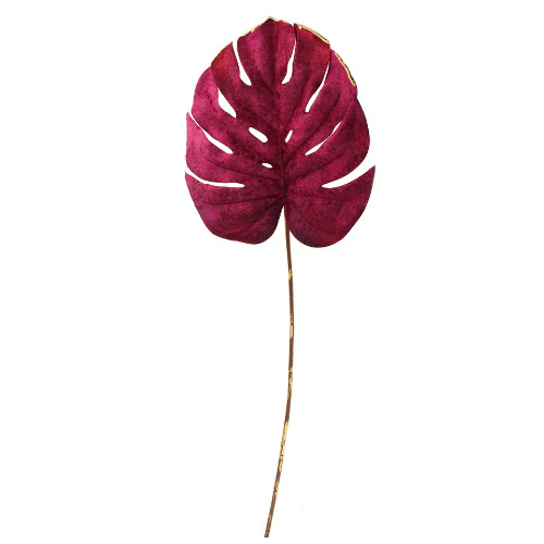 A Magenta Velvet Monstera Stem, measuring approx. 80cm!