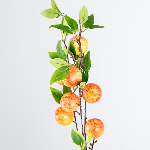 77cm Natural Apple Stem