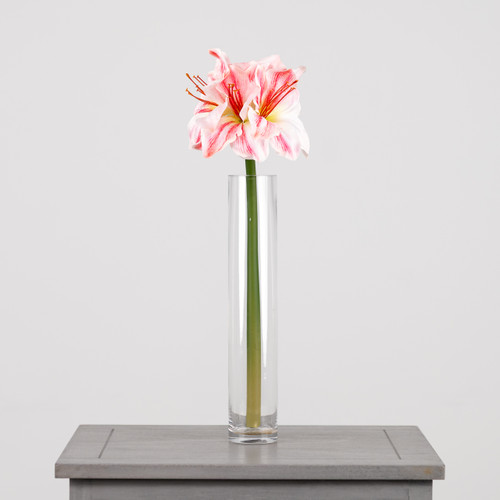 A 40cm pink and white amaryllis stem