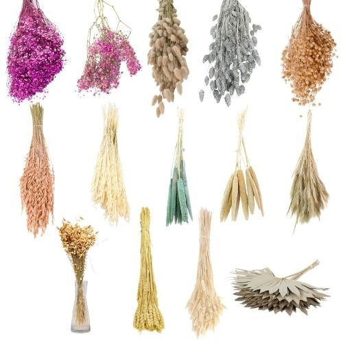 Dried Flowers Bargain Box