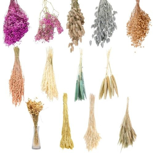 Dried Flowers Bargain Box Dried Flowers Bargain Box