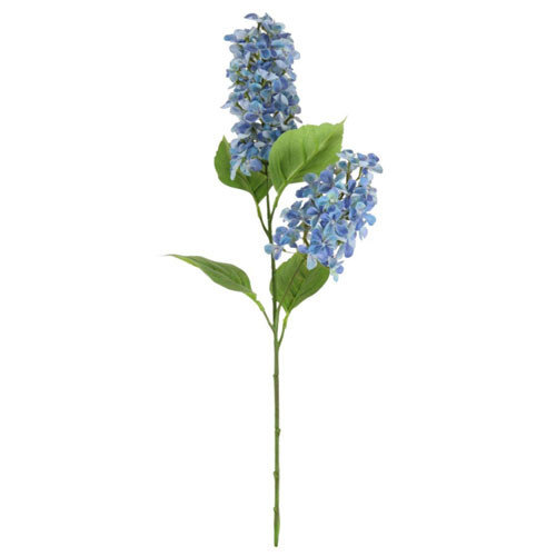 A 76cm Sky Blue Paniculata Hydrangea Stem with 2 heads.