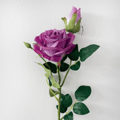 A Luxe Purple Rose & Bud, measuring approx. 55cm A Luxe Purple Rose & Bud, measuring approx. 55cm