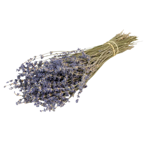 A 48cm bunch of Dried Natural Blue Lavender.