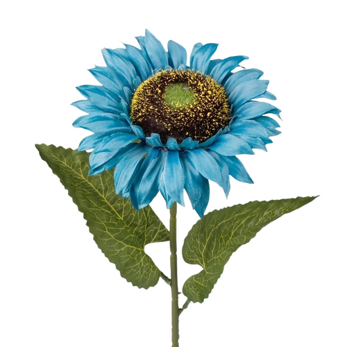 A 60cm Autumn Blue Sunflower Stem. A 60cm Autumn Blue Sunflower Stem.