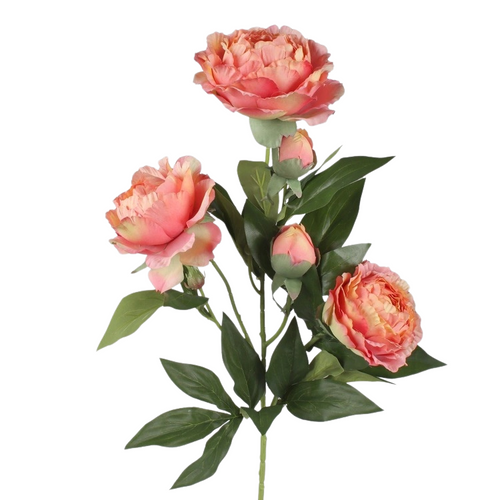 A 67cm Peach Peony Spray. A 67cm Peach Peony Spray.