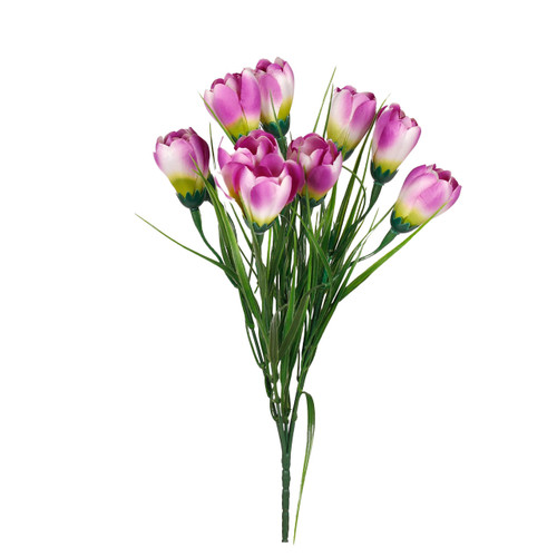 A Purple Crocus Bunch. A Purple Crocus Bunch.