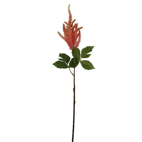 A 67cm pink astilbe europa stem. A 67cm pink astilbe europa stem.