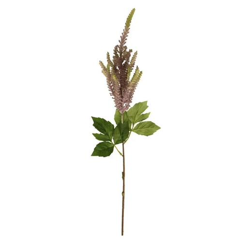 A 67cm purple astilbe europa stem. A 67cm purple astilbe europa stem.