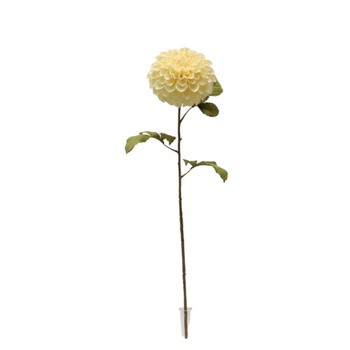 A 74cm Ivory Dahlia Stem. A 74cm Ivory Dahlia Stem.