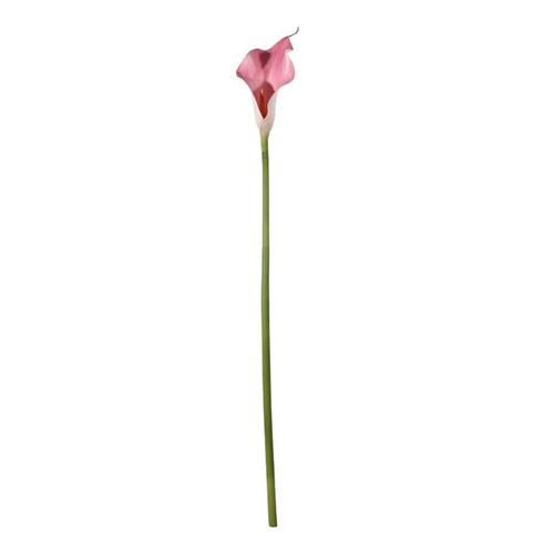 A 60cm Pink Botanica Calla Lily. A 60cm Pink Botanica Calla Lily.