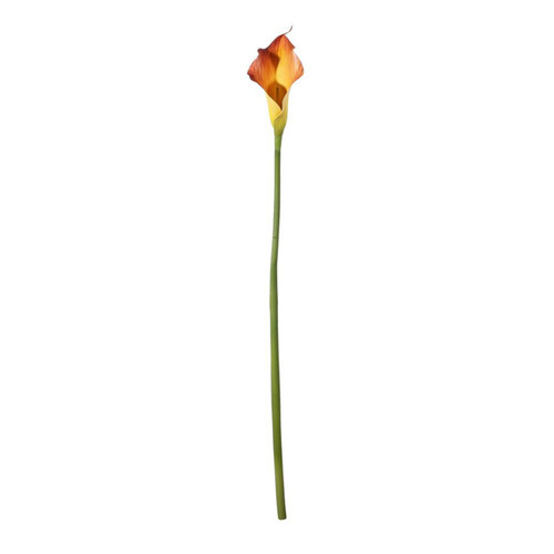 A 60cm Mango Botanica Calla Lily. A 60cm Mango Botanica Calla Lily.