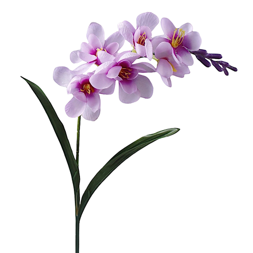 A 56cm Lilac Freesia Stem.