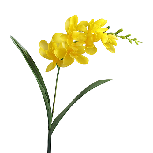 A 56cm Yellow Freesia Stem.
