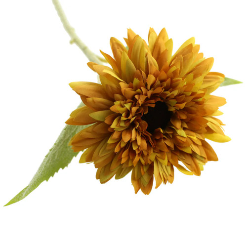 A 48cm Yellow Dwarf Sunflower Stem.